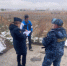 В Хакасии с пасечника взыскали компенсацию за ужаленных детей - Администрация г. Черногорск